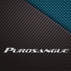 purosangue