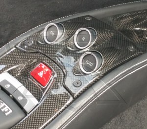 Ferrari 458 Carbon Fiber F1 Panel